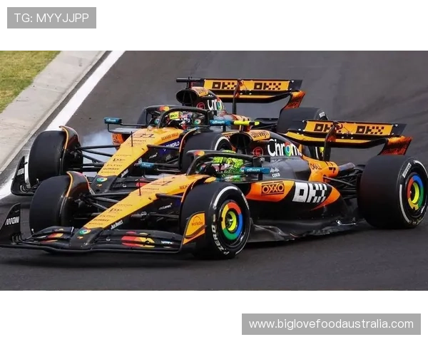 F1赛季最新动态：各车队表现分析与未来赛事展望