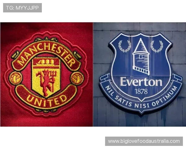 埃弗顿俱乐部历史辉煌与未来展望：从传统英超劲旅到新一代足球力量