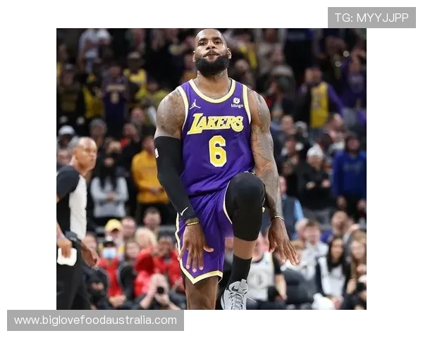 詹姆斯伤情更新湖人全队备战季前赛核心球员状态引关注